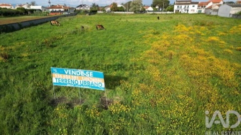 Lote em Oliveirinha, Aveiro