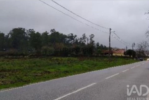 Lote em Canas de Santa Maria, Tondela