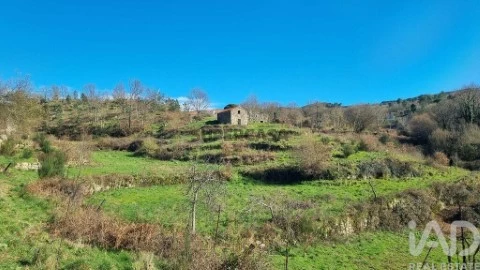 Lote em Cortiçô da Serra, Vide Entre Vinhas e Salgueirais, Celorico da Beira
