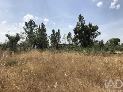 Perceel Op Urqueira, Ourém