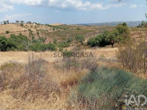 Lote em Santa Cruz, Almodôvar