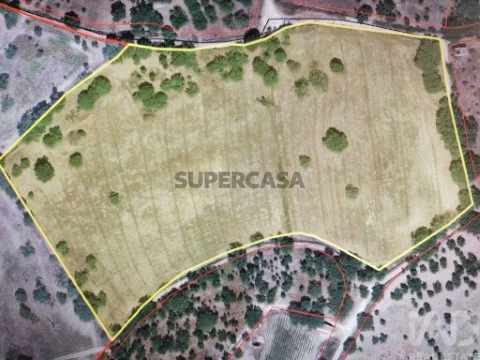 Lote na Ribeira de Nisa e Carreiras, Portalegre