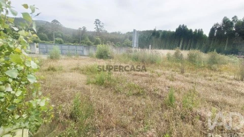 Perceel Op Verdoejo, Valença