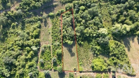Lote em Avelar, Ansião