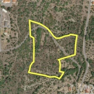 Lote em Além da Ribeira e Pedreira, Tomar