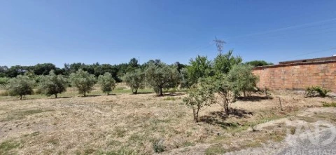 Lote em Alcoentre, Azambuja