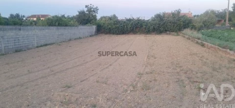 Lote em Ouca, Vagos