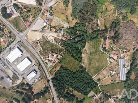 Quinta T0 em Mangualde, Mesquitela e Cunha Alta, Mangualde