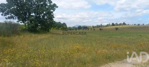 Lote em Enxames, Fundão