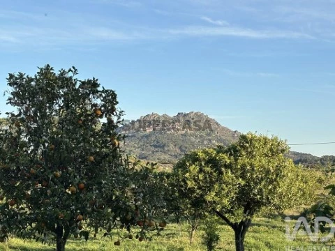 Lote em Monsanto e Idanha-a-Velha, Idanha-a-Nova