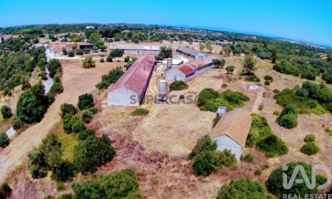Moradia T3 em Almoster, Santarém