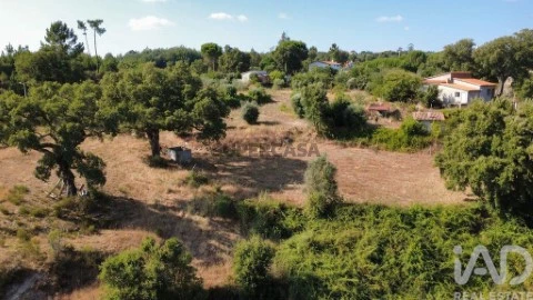 Lote em Midões, Tábua
