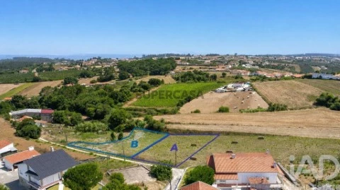 Lote em Bárrio, Alcobaça