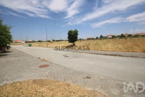 Lote em Almeida, Almeida