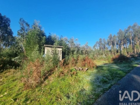 Lote em Mortágua, Vale de Remígio, Cortegaça e Almaça, Mortágua