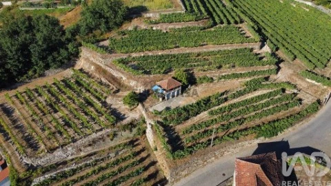 Lote em Figueiró (Santiago e Santa Cristina), Amarante