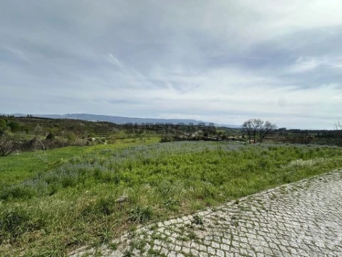 Lote em Mangualde, Mesquitela e Cunha Alta, Mangualde