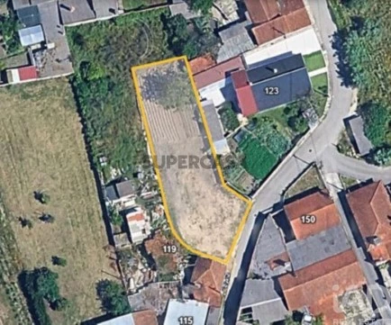 Lote em Amor, Leiria