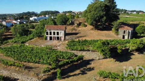 Farm 2 bedrooms in Figueiró (Santiago e Santa Cristina), Amarante