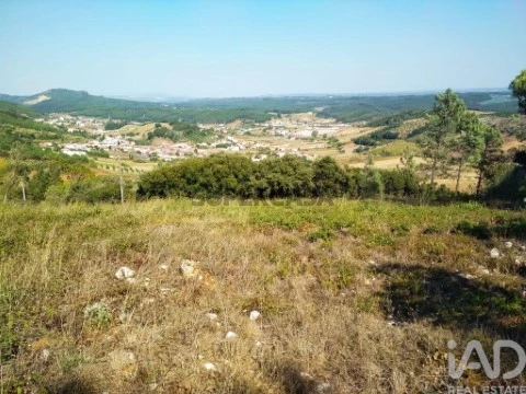 Lote em Rio Maior, Rio Maior