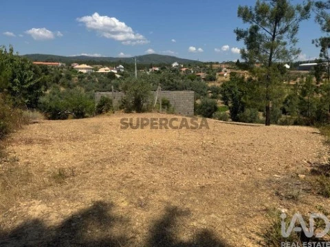 Lote em Sobreira Formosa e Alvito da Beira, Proença-a-Nova