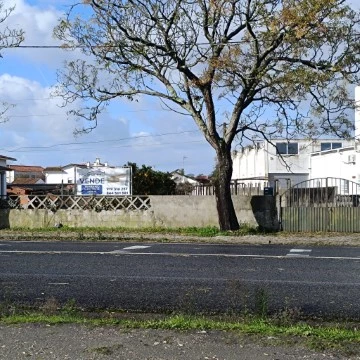 Frente