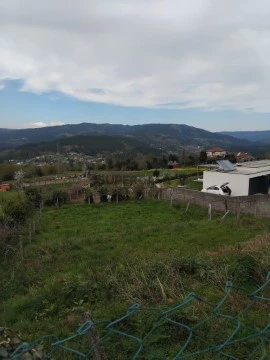 terreno misto