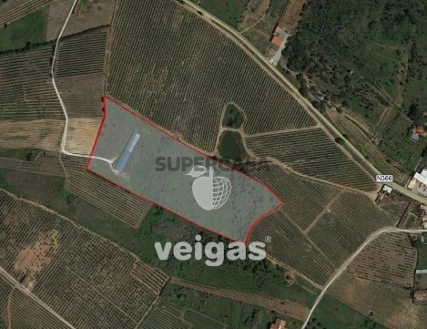 Terreno em Peral, Cadaval