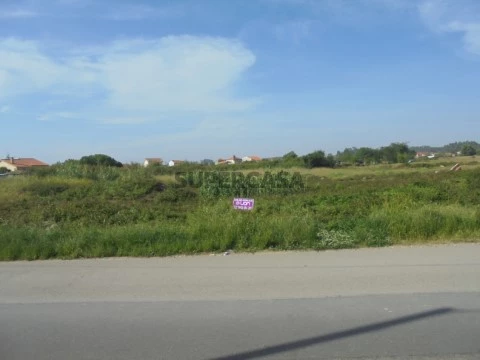Aveiro Leilao Terreno
