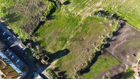 Terreno em Almeirim, Almeirim