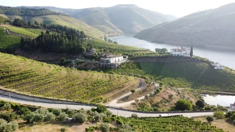 Terreno em Folgosa, Armamar