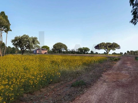 Quinta T3 em São Salvador e Santa Maria, Odemira