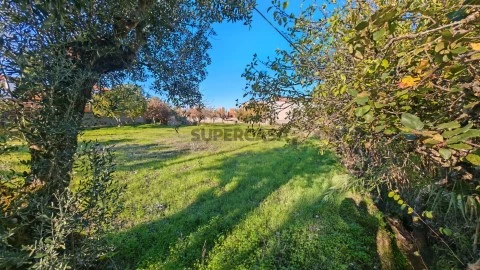Terreno