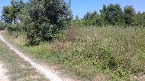 Terreno em Valongo do Vouga, Águeda