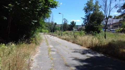 Lote em Borralha, Águeda