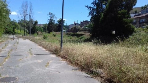 Lote em Borralha, Águeda