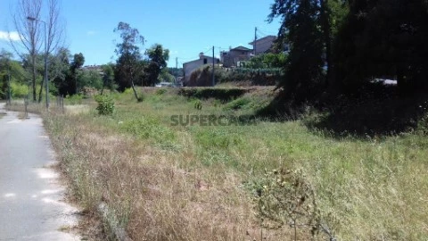 Lote em Borralha, Águeda