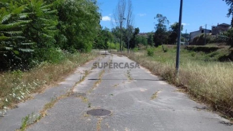 Lote em Borralha, Águeda