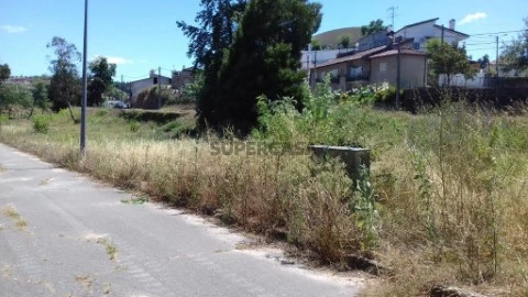 Lote em Borralha, Águeda