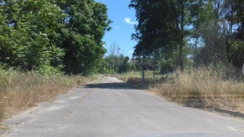 Lote em Borralha, Águeda