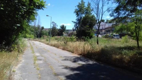 Lote em Borralha, Águeda