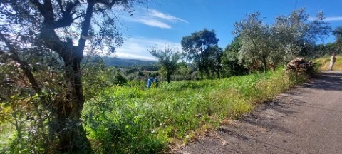 Terreno em Águeda, Águeda