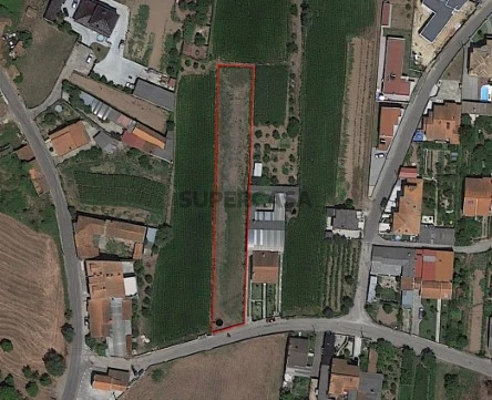 Terreno em Recardães e Espinhel, Águeda