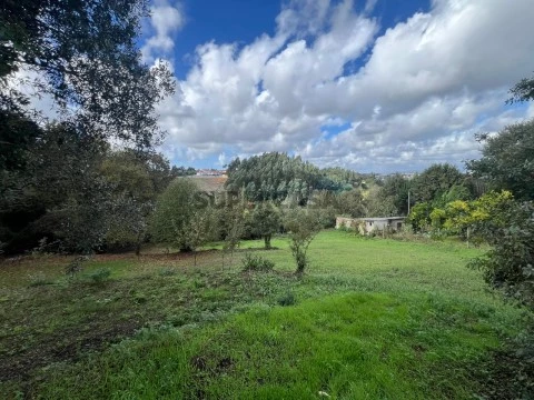 Terreno em Recardães e Espinhel, Águeda