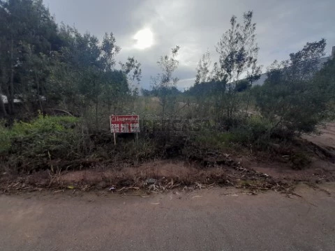 Terreno Industrial na Rua do Covão, Valongo do Vouga, Águeda
