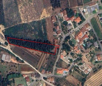 Terreno em Agadão, Águeda