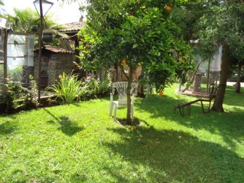 Quintal