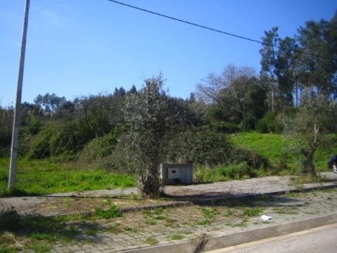 Imagem 004