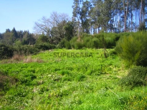Imagem 001