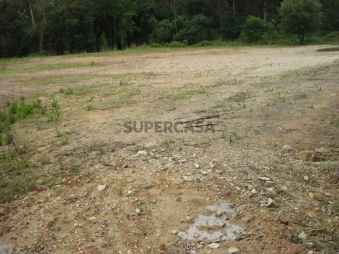 Terreno (1)